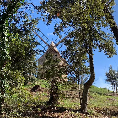 Le De L'adrech *